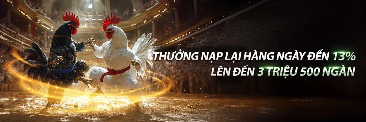 Sân vận động với ánh đèn rực rỡ và người hâm mộ đang cổ vũ